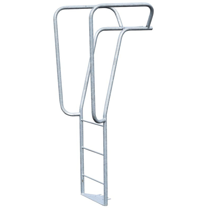 Ladder for bowser